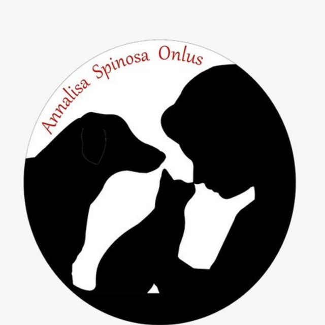 immagine profilo del channel telegram di Associazione Annalisa Spinosa