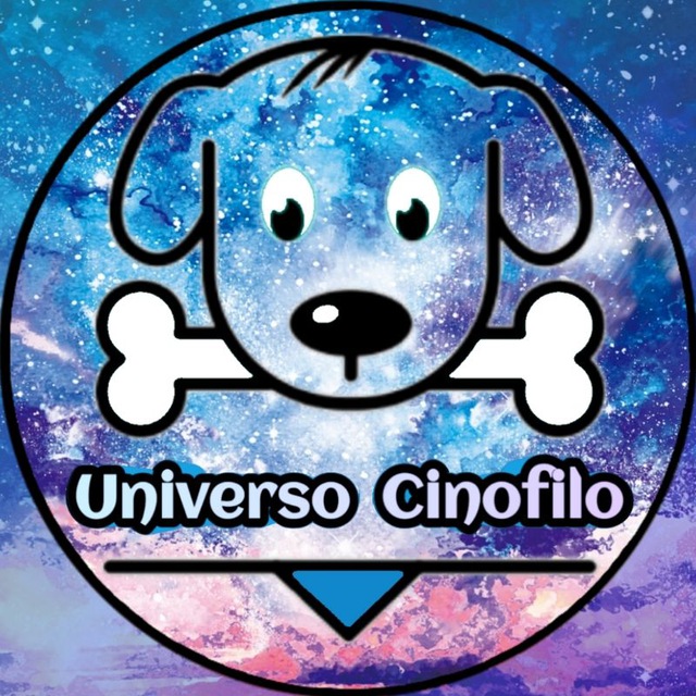 immagine profilo del channel telegram di Uᥒιvᥱrso Cιᥒofιᥣo 🐶