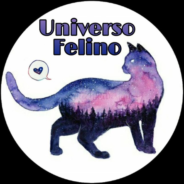 immagine profilo del group telegram di Uᥒιvᥱrso Fᥱᥣιᥒo 🐈