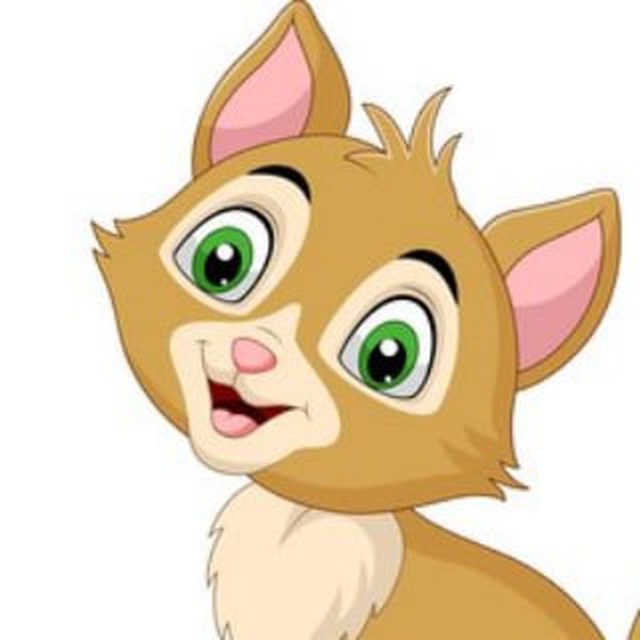 immagine profilo del channel telegram di Catsforyou