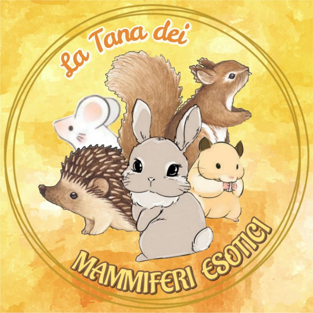 immagine profilo del group telegram di La Tana dei Mammiferi Esotici 🐿️