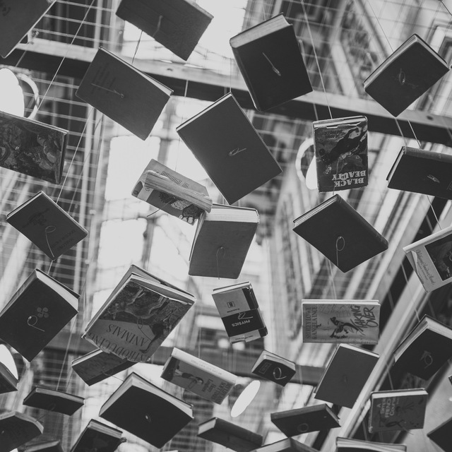 immagine profilo del channel telegram di 📚Libri e Audiolibri GRATIS/SCONTATI