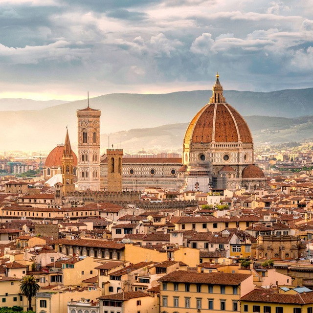 immagine profilo del group telegram di Amici Firenze