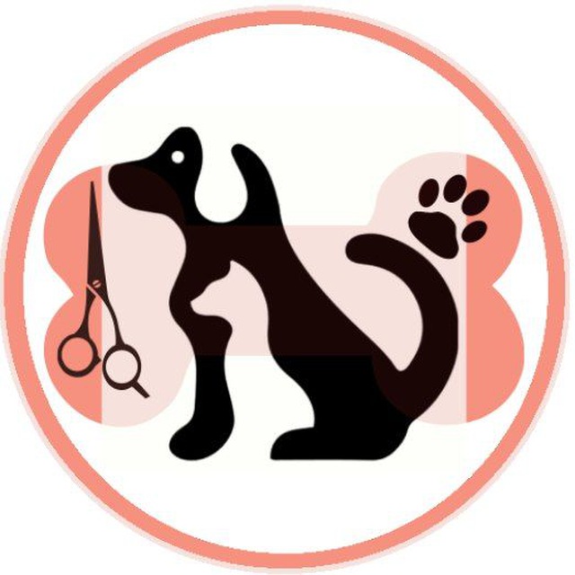 immagine profilo del channel telegram di Zootropolis