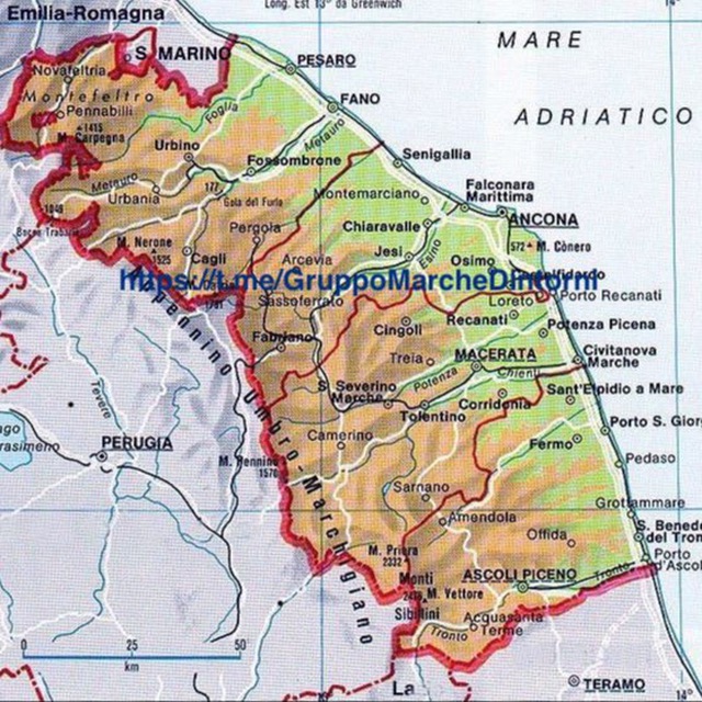 immagine profilo del group telegram di Gruppo Marche e dintorni gruppo invito
