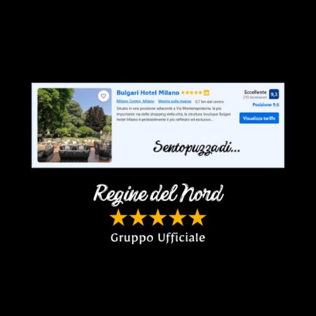 immagine profilo del group telegram di Regine del Nord